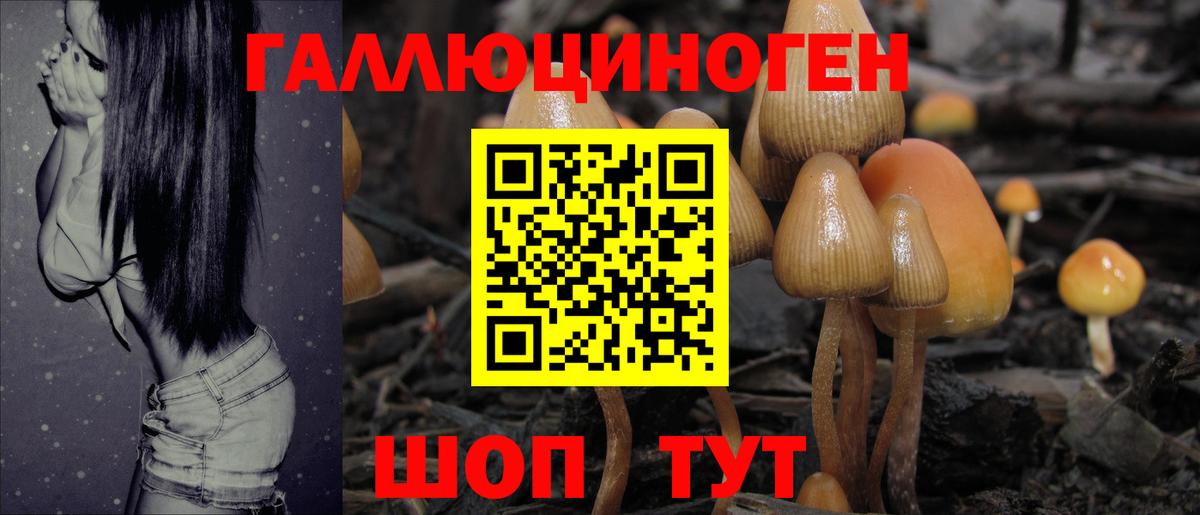 Псилоцибиновые грибы мухоморы Верхний Уфалей